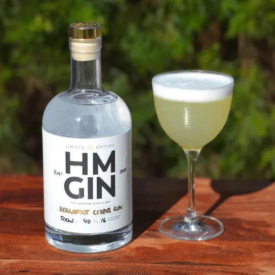 Bergamot Gin Sour Recipe