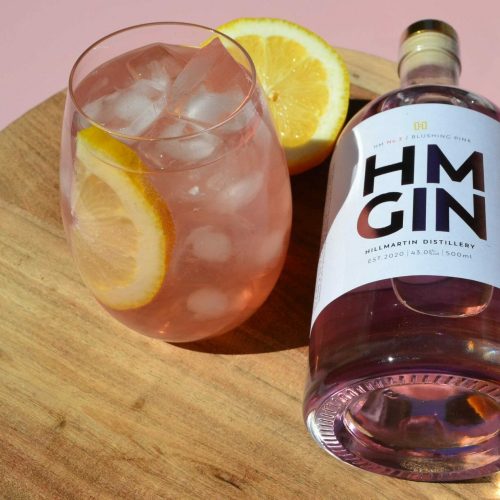 Pink Gin Spritz Cocktail Recipe