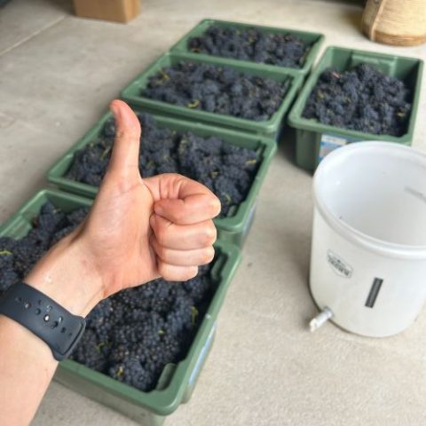 Making HM Pinot Noir Gin