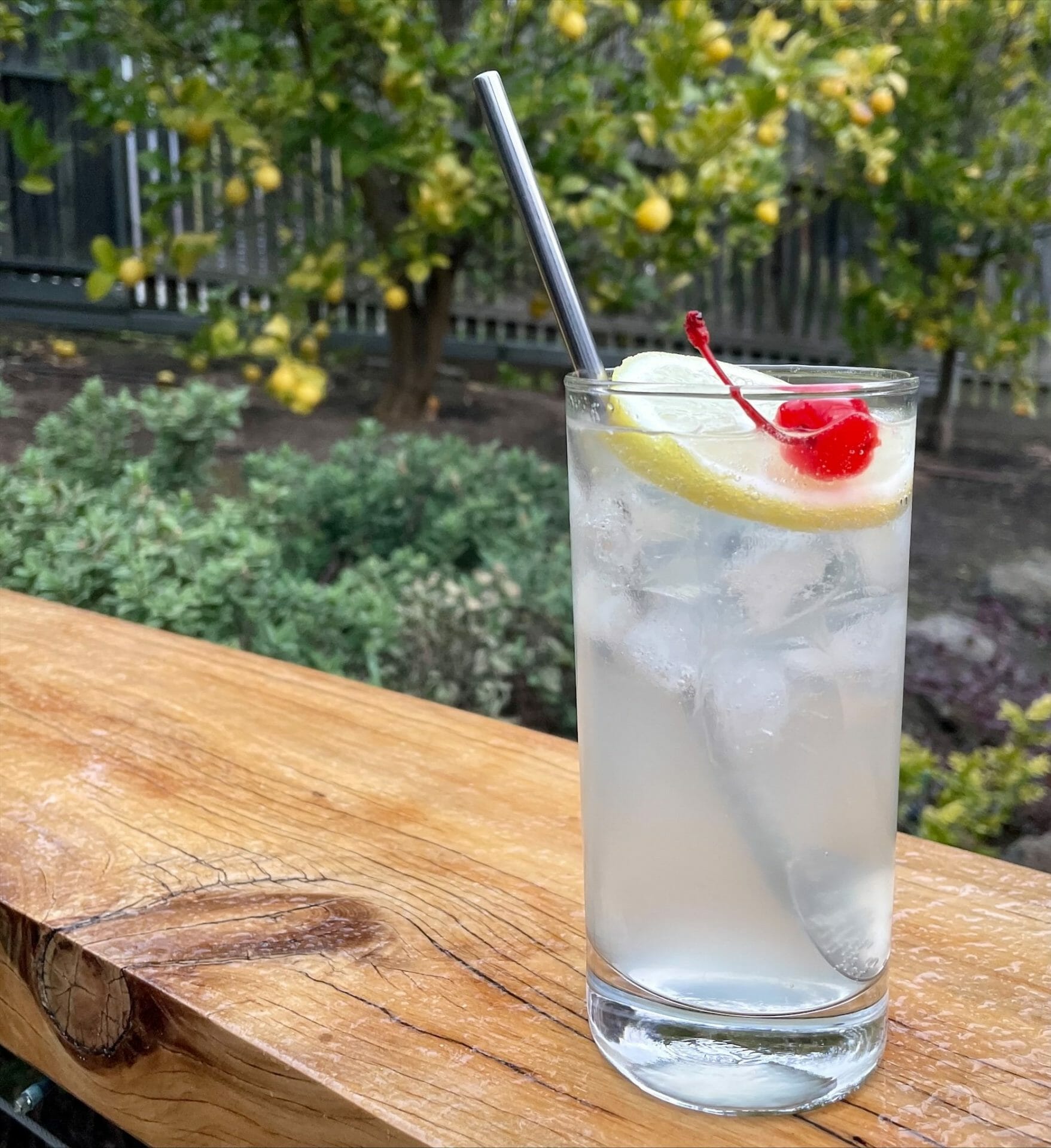 TOM COLLINS COCKTAIL