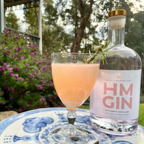 Pink Gin Fizz Recipe