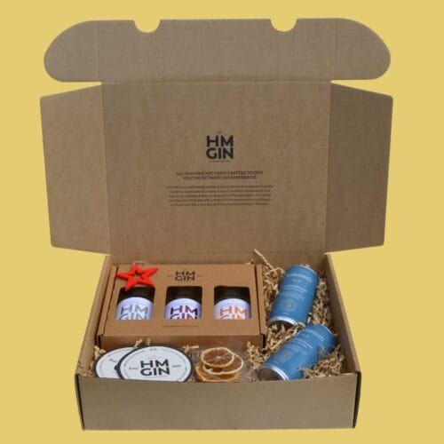 Ultimate Christmas Gin Gift Pack