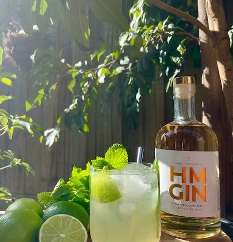 Gin Mule Cocktail