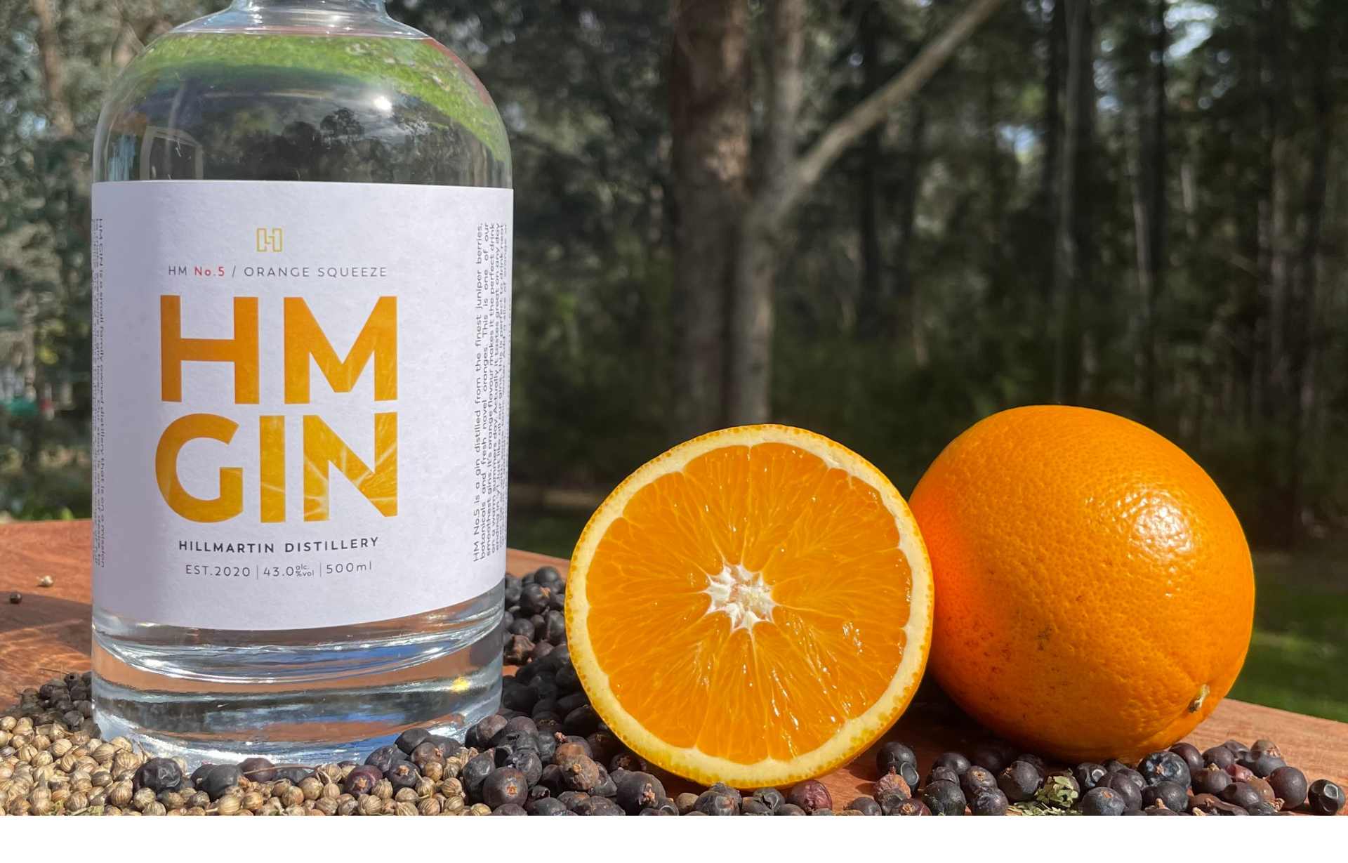 Introduction To London Dry Gin Hillmartin Gin Distillery 