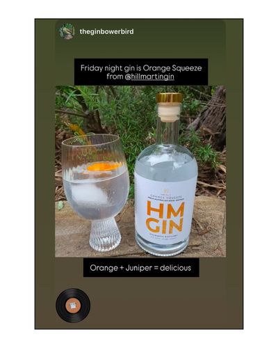 HM Orange Squeeze Gin