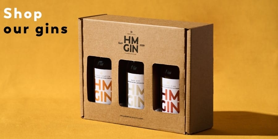 Shop our gins